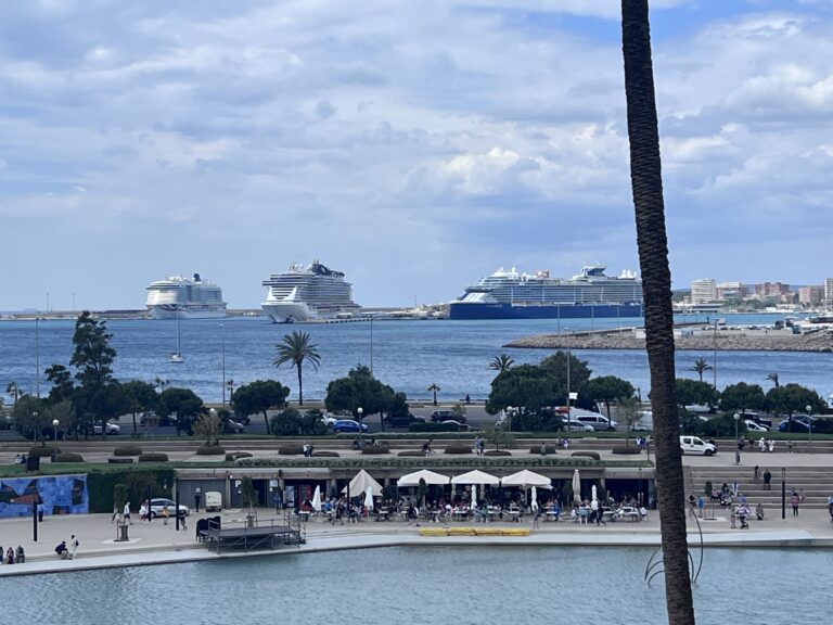 Consideraciones para hacer un crucero